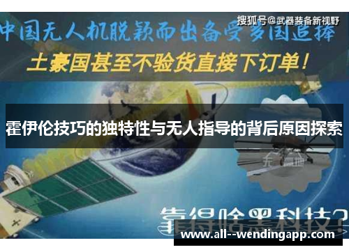 霍伊伦技巧的独特性与无人指导的背后原因探索