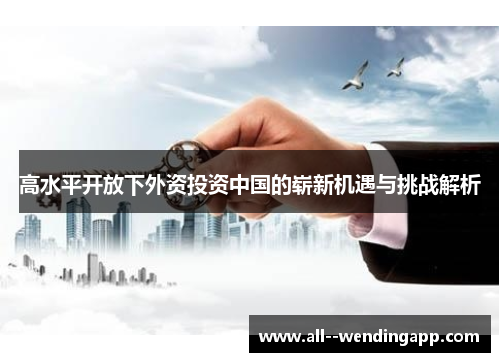 高水平开放下外资投资中国的崭新机遇与挑战解析