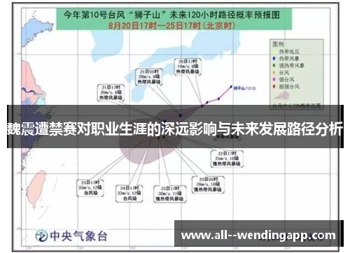 魏震遭禁赛对职业生涯的深远影响与未来发展路径分析