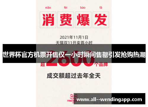 世界杯官方机票开售仅一小时瞬间售罄引发抢购热潮