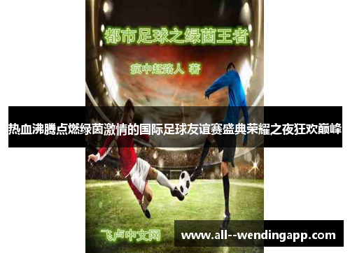 热血沸腾点燃绿茵激情的国际足球友谊赛盛典荣耀之夜狂欢巅峰